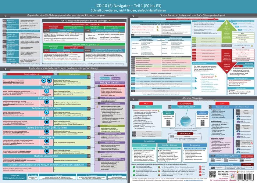 ICD-10 (F) Navigator Wandposter - Teil 1 (F0 bis F3) – Ideal zur Prüfungsvorbereitung für Heilpraktiker Psychotherapie (PSY) & als nützliches Tool für ... (Neue, komplett überarbeitete Ausgabe) book