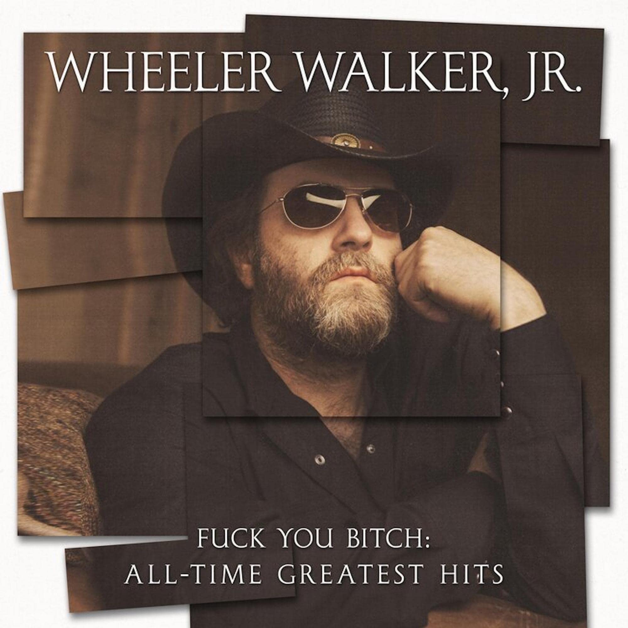 Fuck You Bitch: All-Time Greatest Hits (Standard) Country & Folk