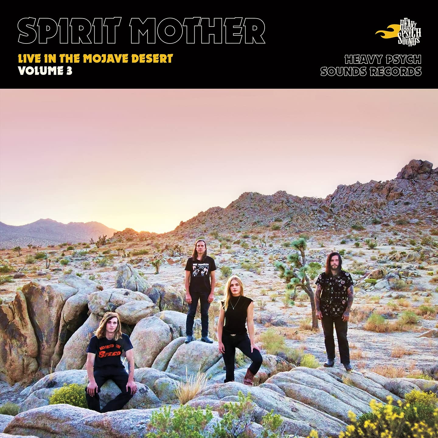 Live In The Mojave Desert cd