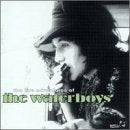 The Live Adventures Of The Waterboys Alternative & Indie