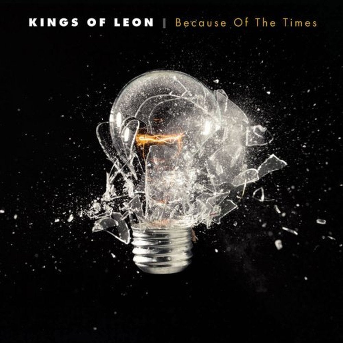 Because of the Times Lp Alternative & Indie