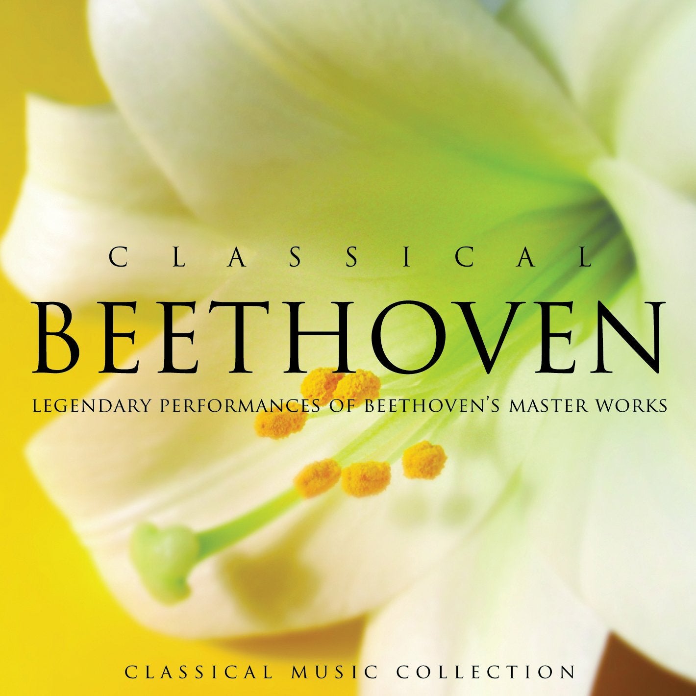 Piano Concertos: No.4 & No.5 Classical