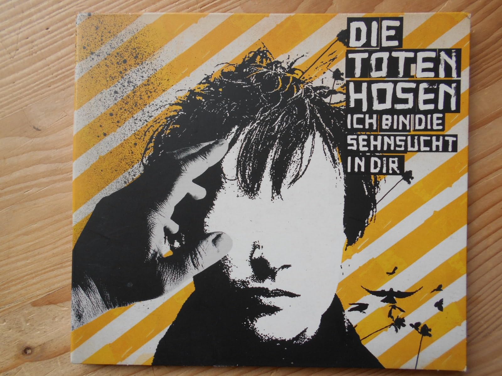 Ich bin die Sehnsucht in Dir (incl. 3 Non-Album-Tracks) Rock