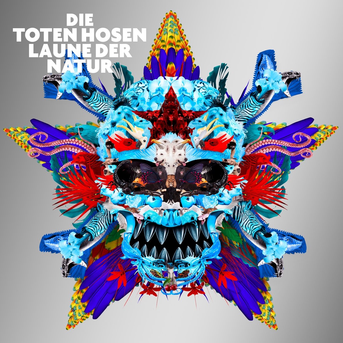 Laune der Natur Rock