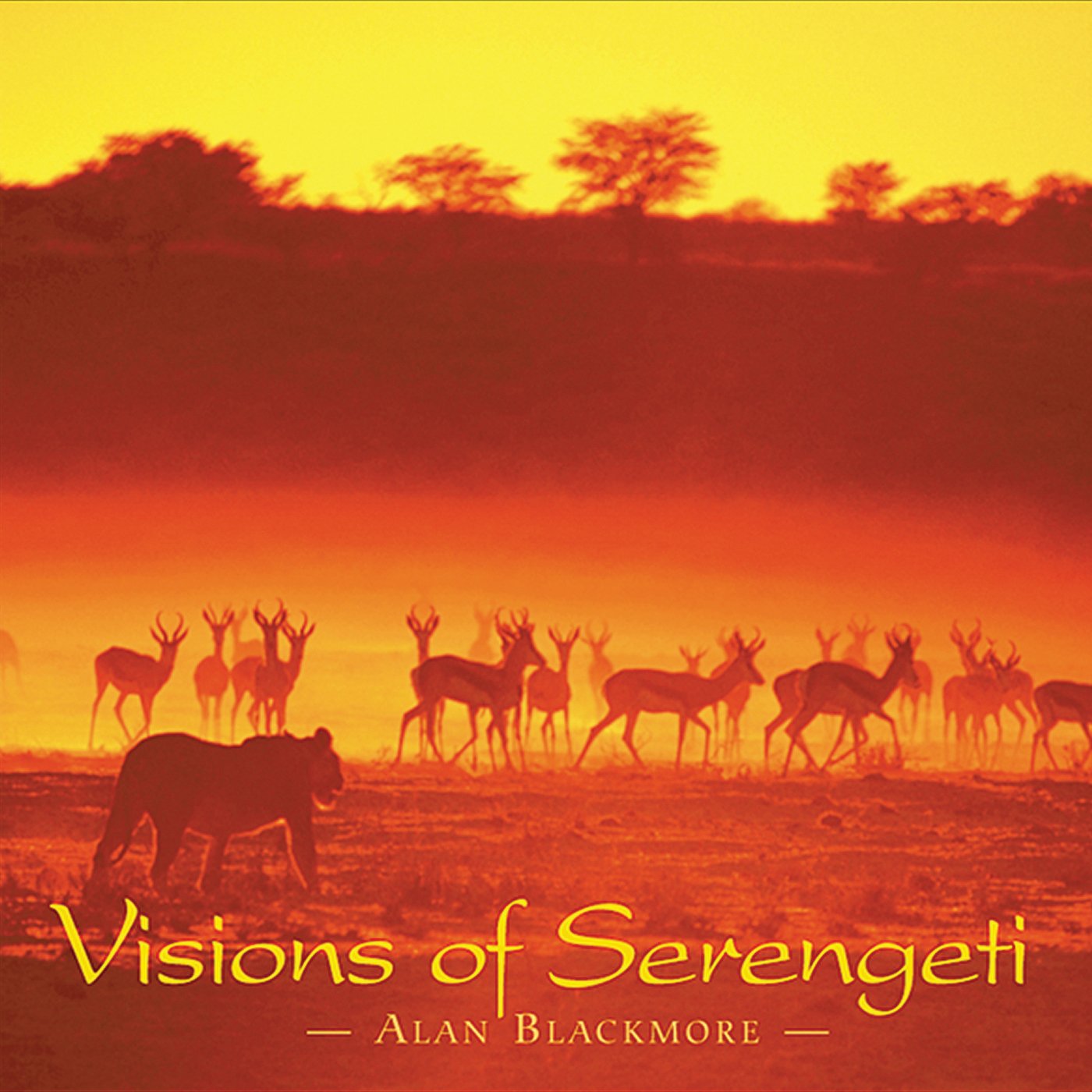 Visions of Serengeti Music