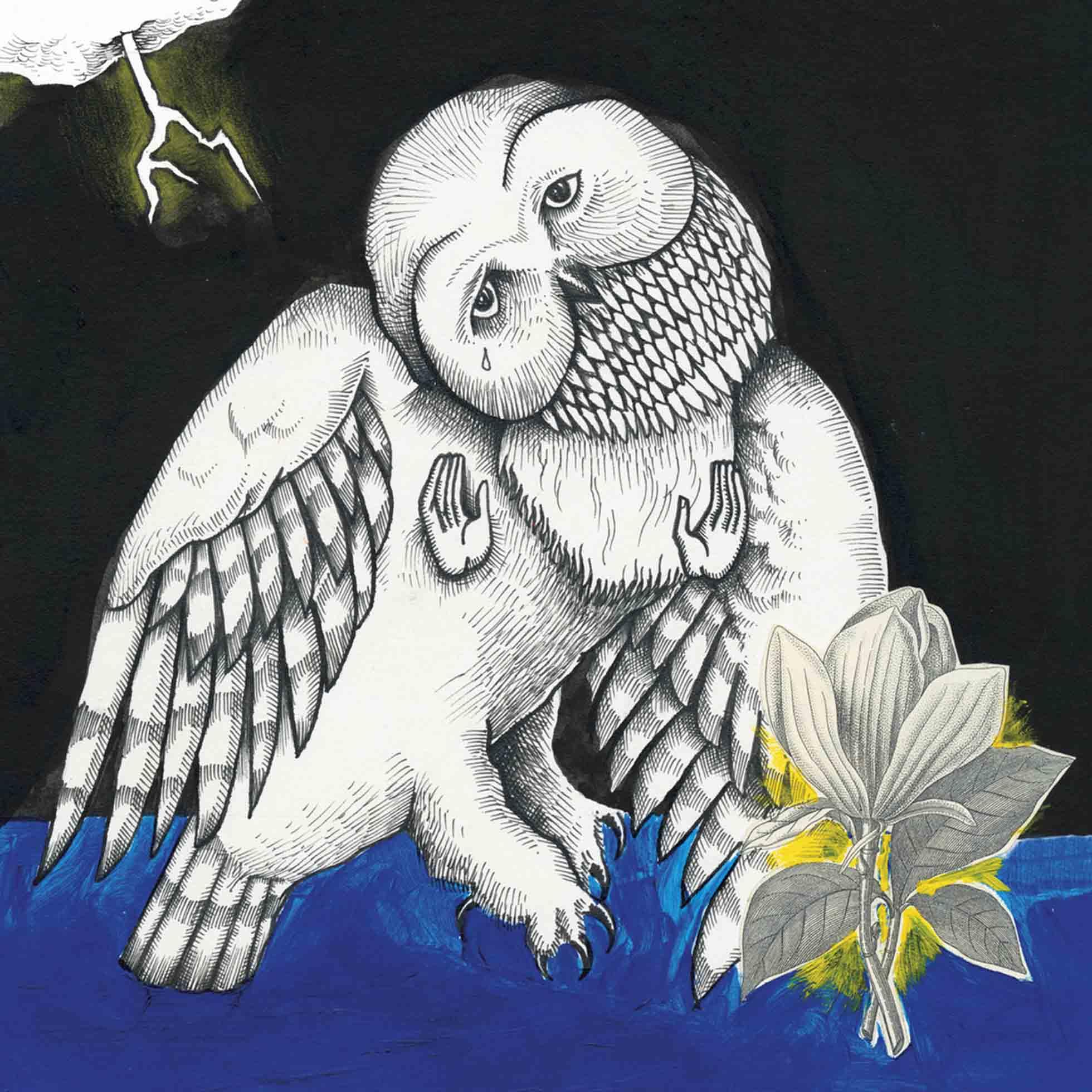 The Magnolia Electric Co Alternative & Indie