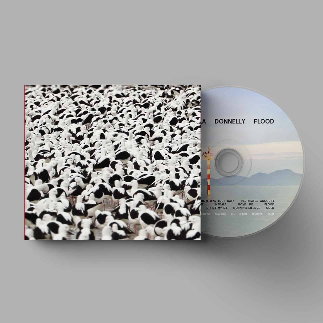 Product Image: Flood