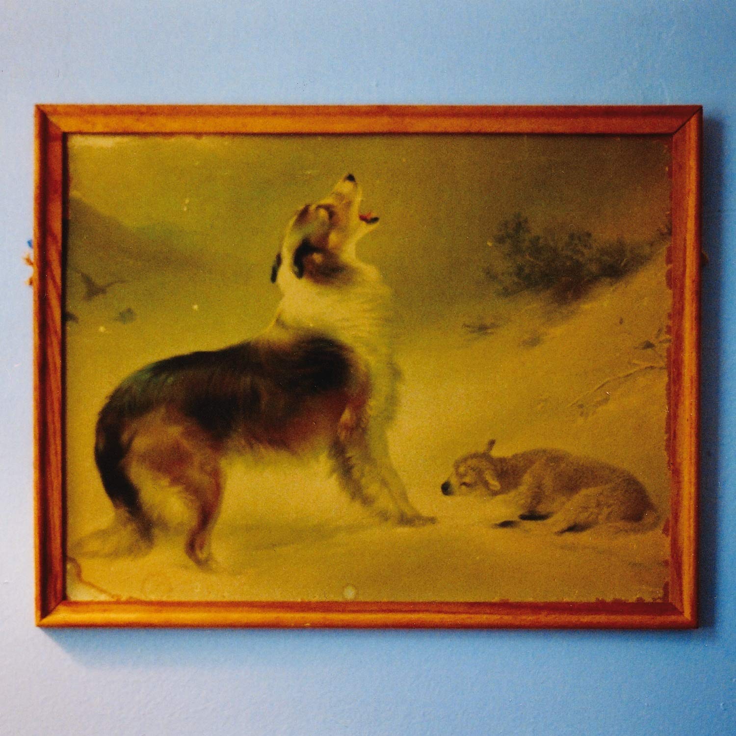 The Rescue-Anniversary Edition Rock