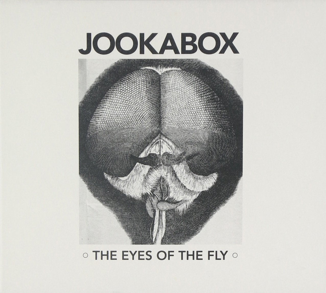 The Eyes of the Fly Rock
