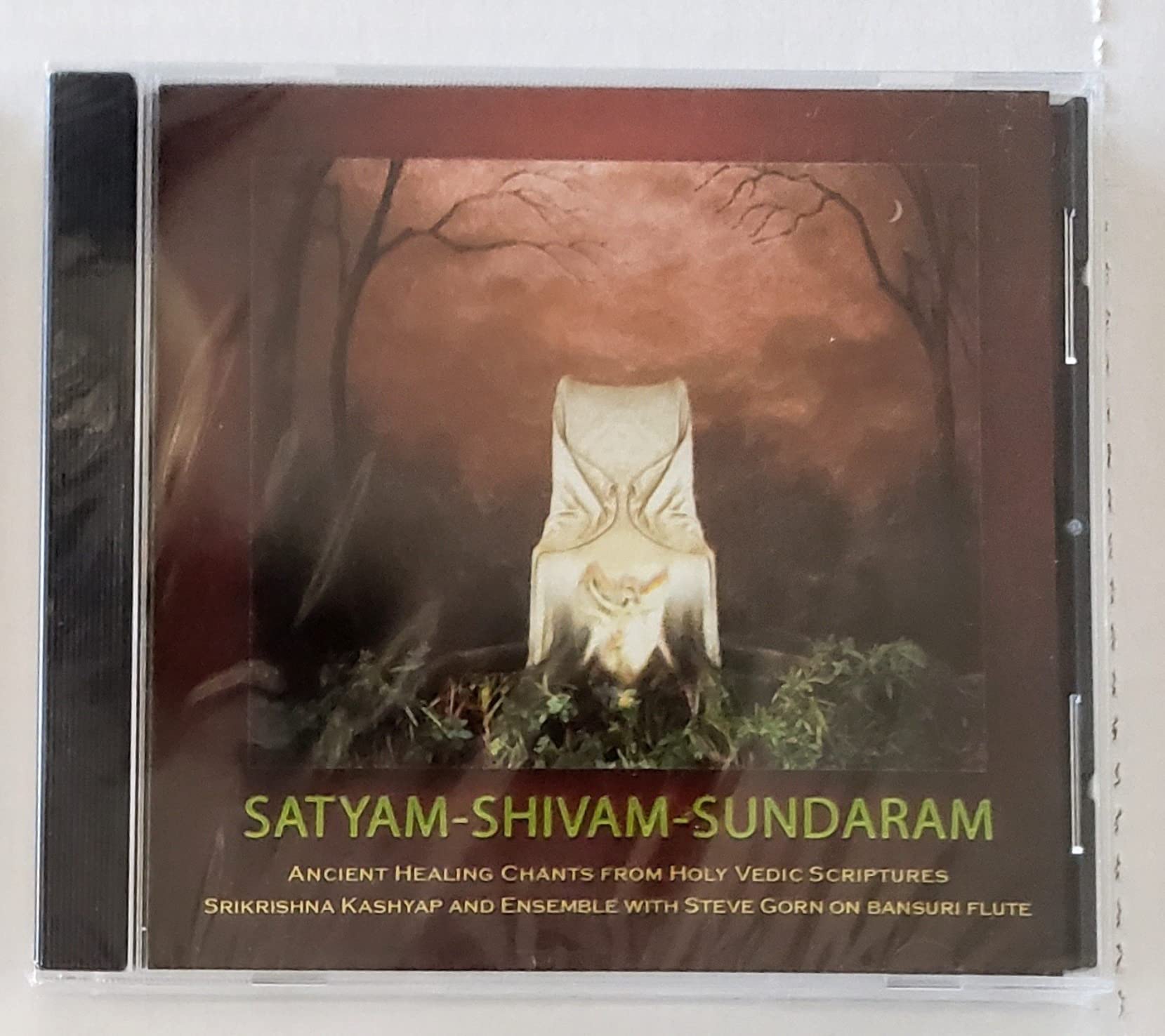 Shrikrishna Kashyap & Steve Gorn - Satyam-Shivam-Sundaram (1 CD) Music