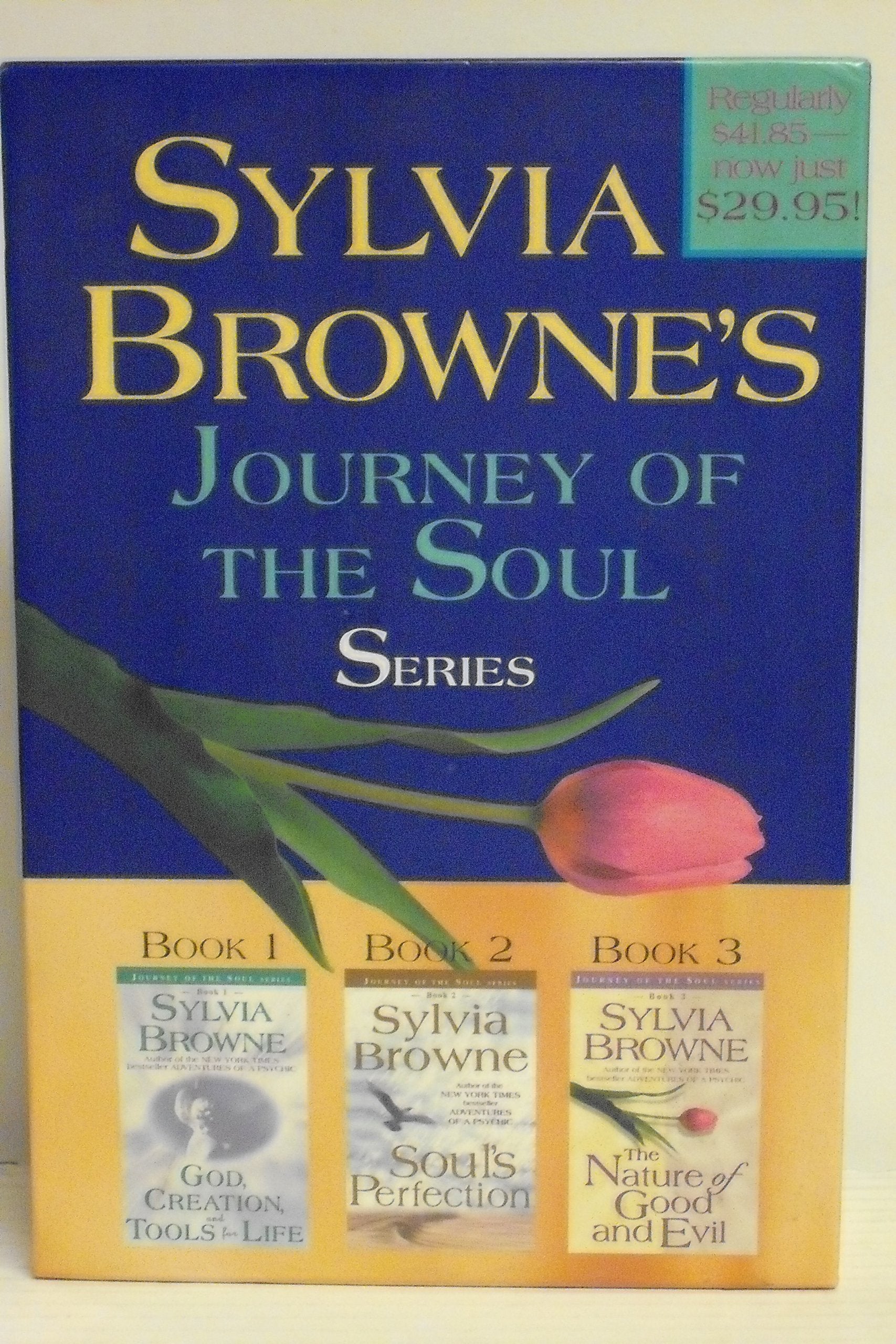 Journey of the Soul Series Philosophy
