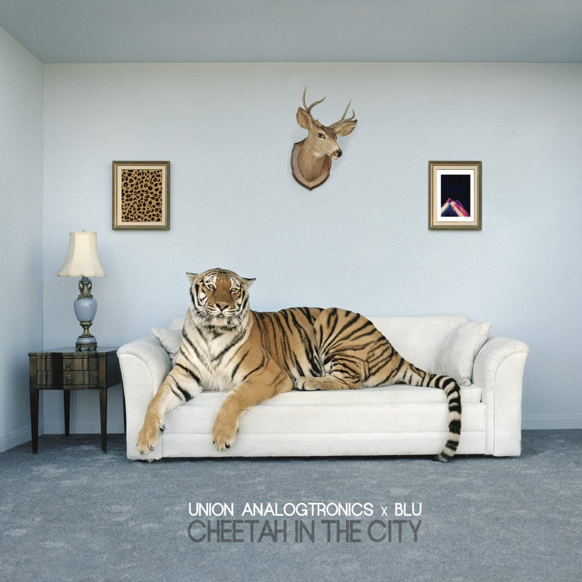 Cheetah in the City Rap & Hip-Hop