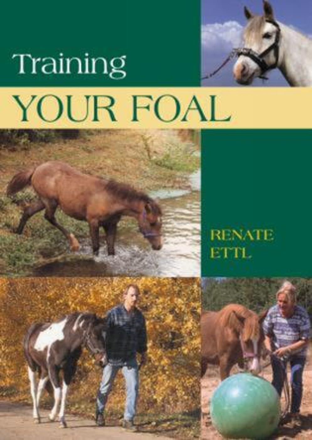 Training Your Foal: Schooling And Training Young Horses Leisure & Fun