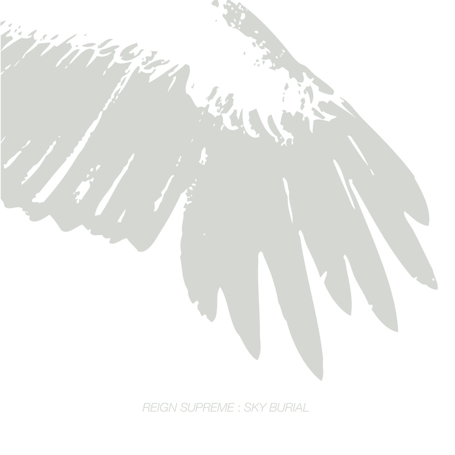 Sky Burial Music
