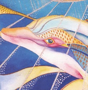 Celebration of the Hawaiian Spinner Dolphin (US Import) Music