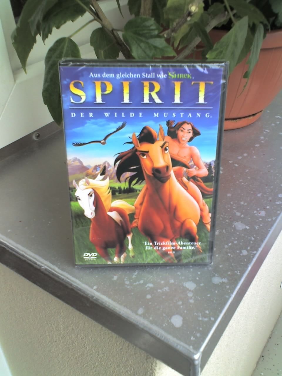 Spirit - Der wilde Mustang Films