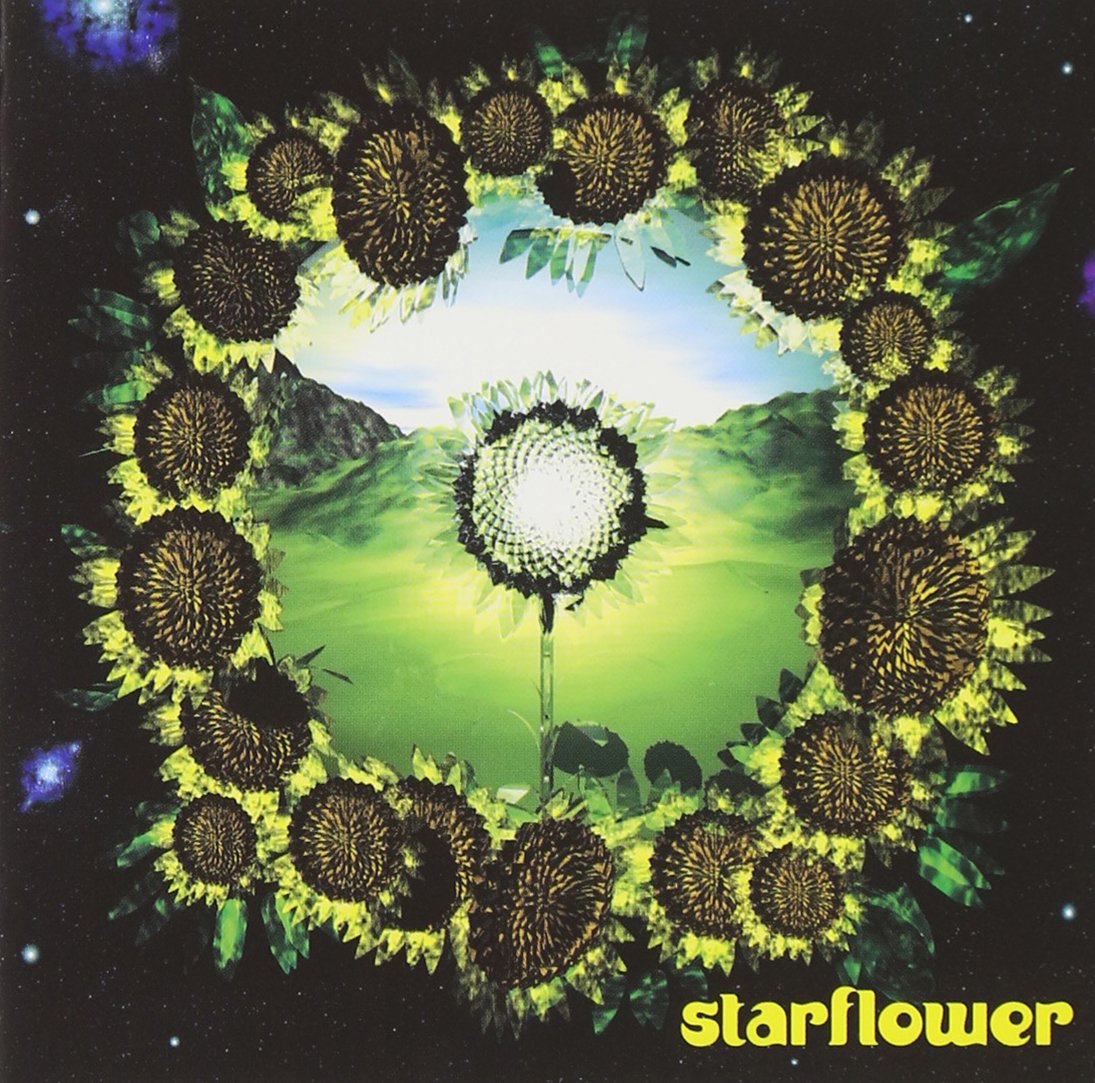 Starflower: Celebrating Spirit Brian Wilson/Various Rock