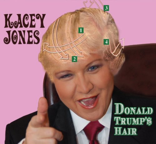 Donald Trump's Hair cd