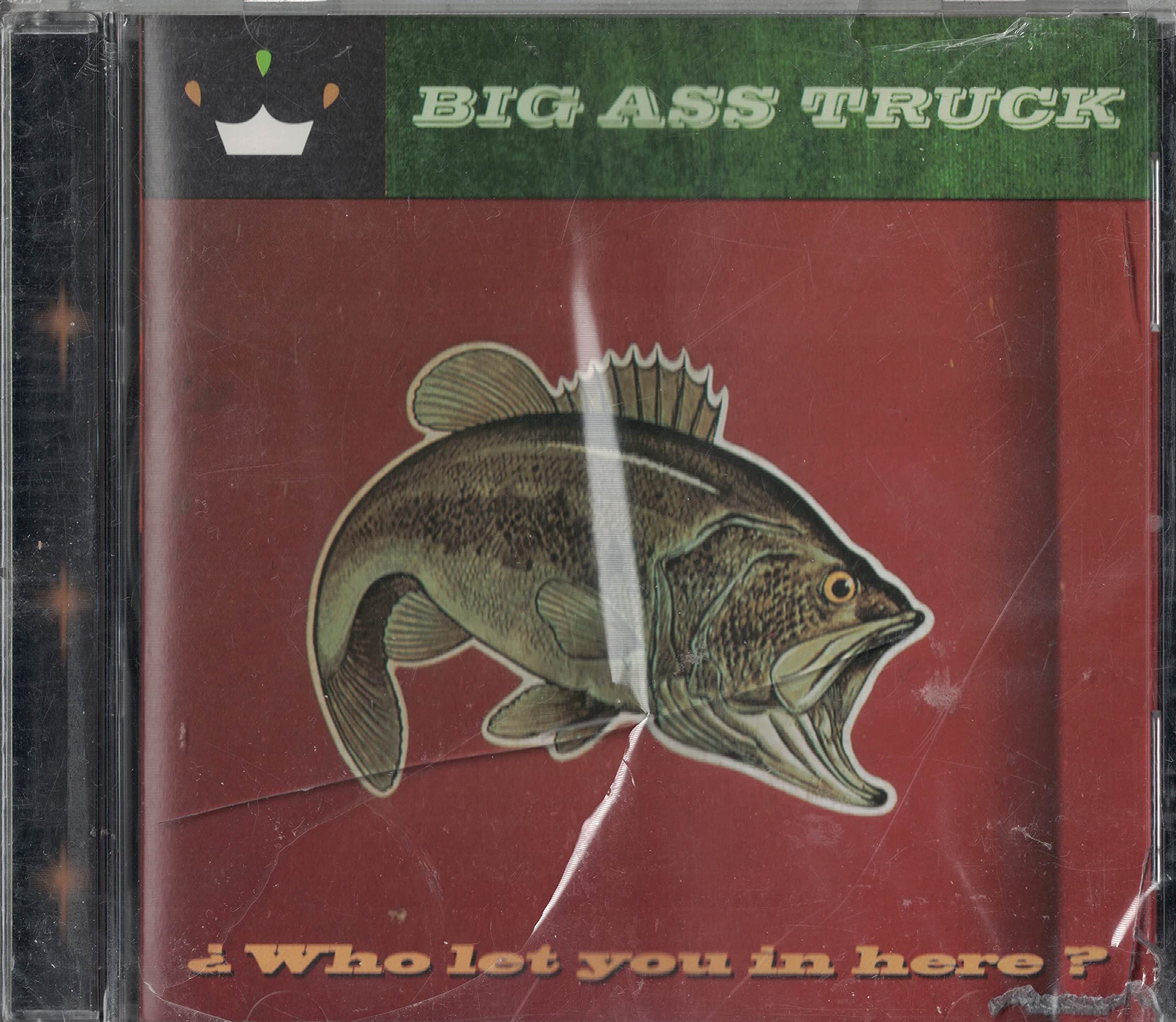 Who Let You in Here? Alternative & Indie