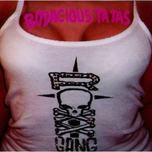 Bodacious Ta Tas-the Best of Rock