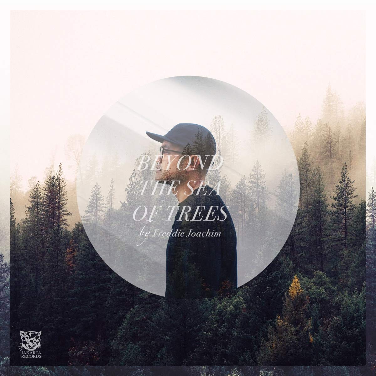 Beyond The Sea Of Trees cd