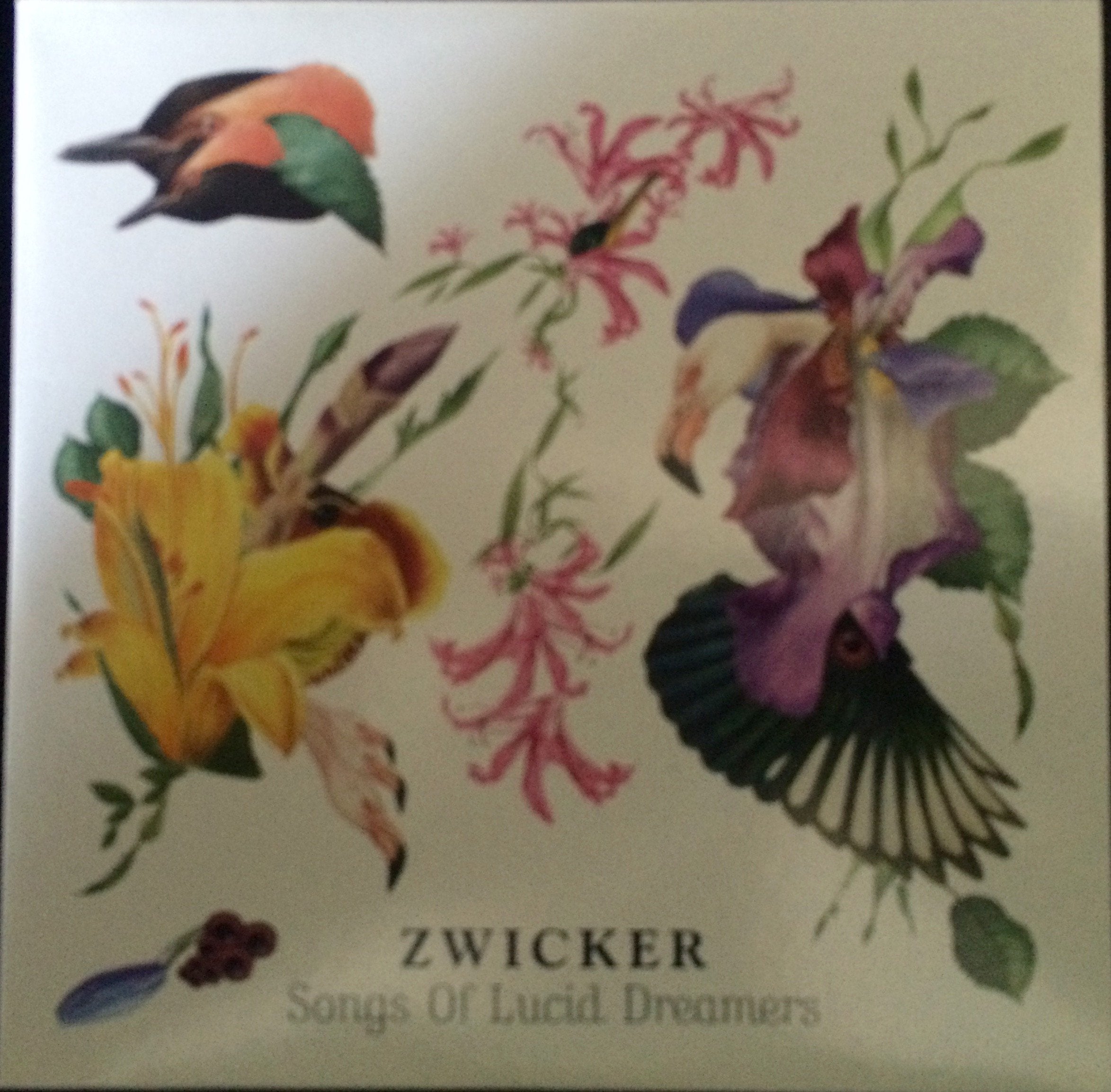 Zwicker-Songs of Lucid Dreams Pop