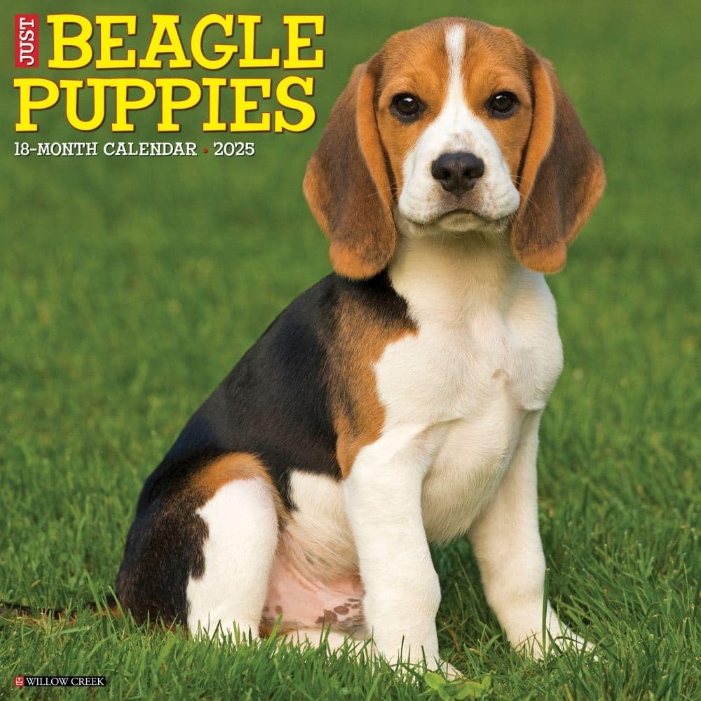 Beagle Puppies 2026 12 X 12 Wall Calendar Pets