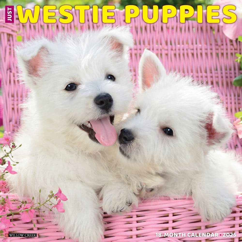 Westie Puppies 2026 12 X 12 Wall Calendar Pets