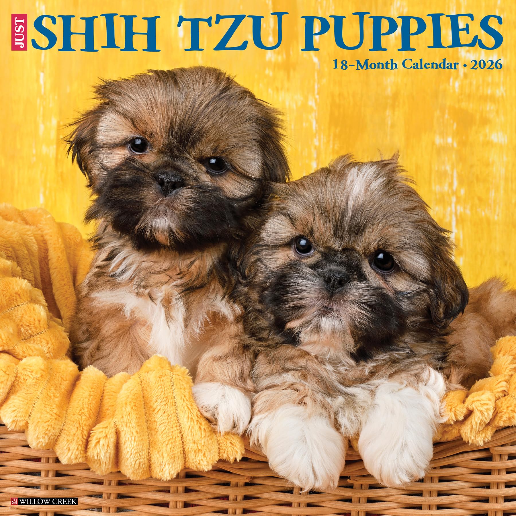 Shih Tzu Puppies 2026 12 X 12 Wall Calendar book