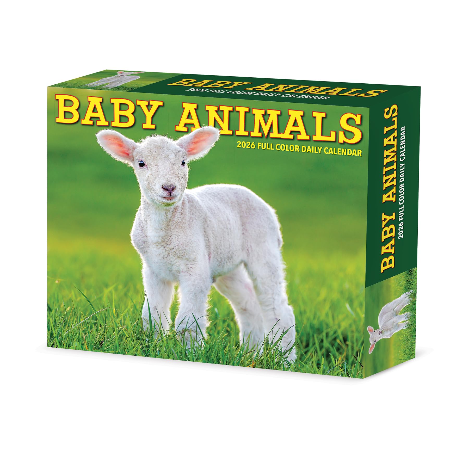 Baby Animals 2026 5.4 X 6.2 Box Calendar book