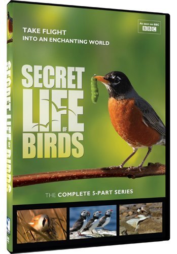 Secret Life of Birds: 5 Part Series dvd