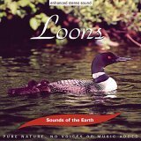 Loons Music