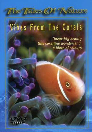 Vibes from Corals cd