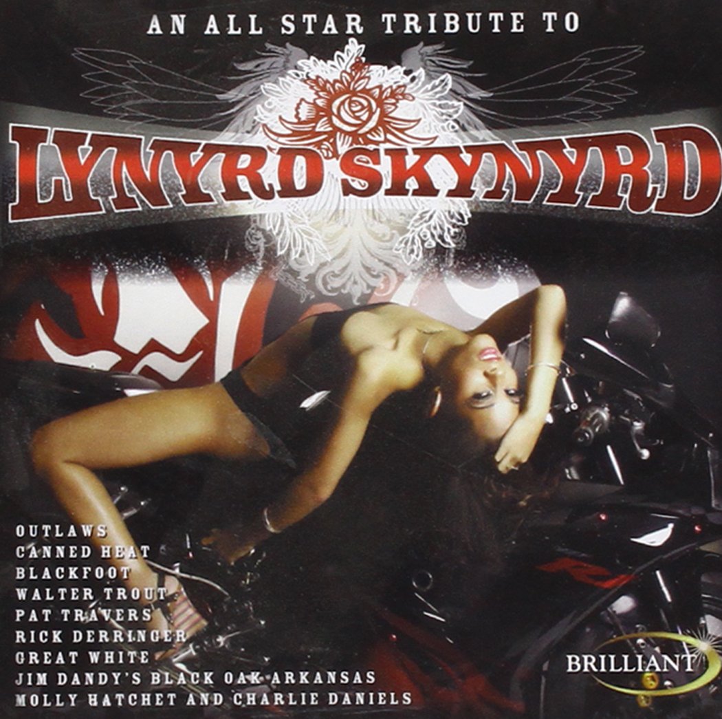 an All Star Tribute to Lynyrd Skynyrd cd
