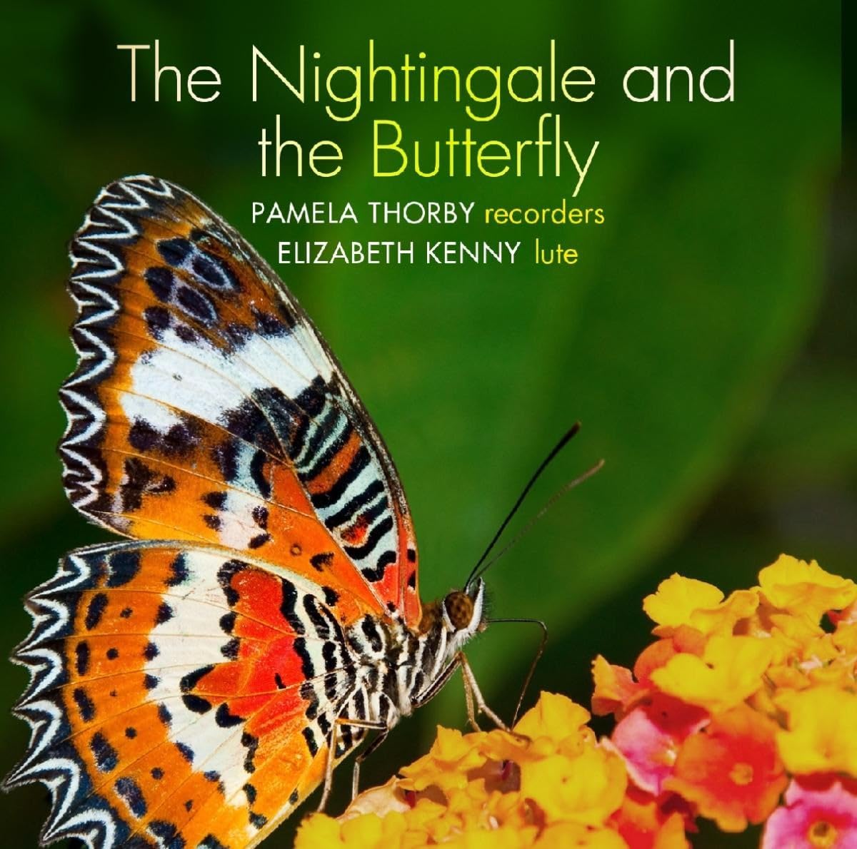 The nightingale and the butterfly cd