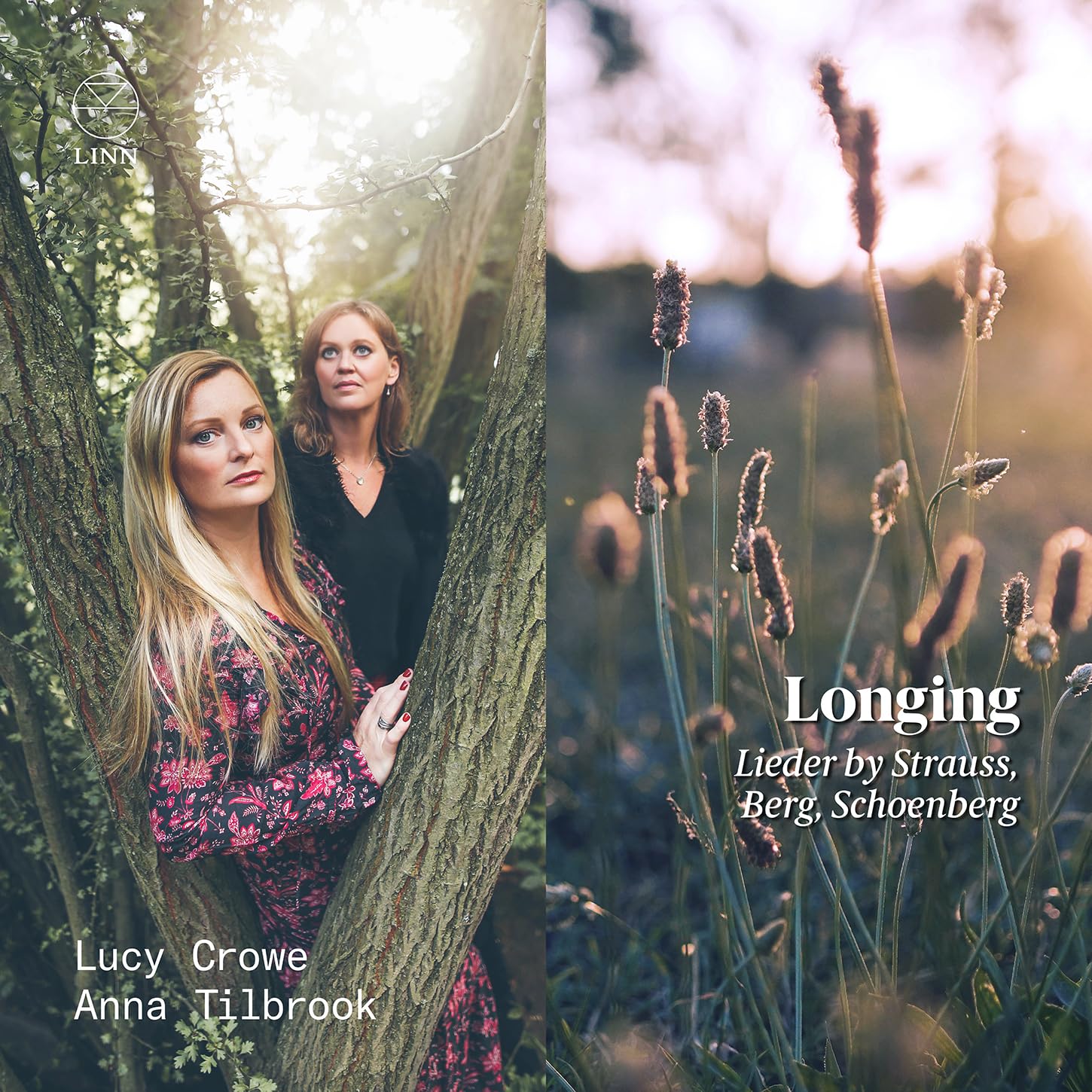 Longing-Lieder von Strauss,Schönberg & Berg cd