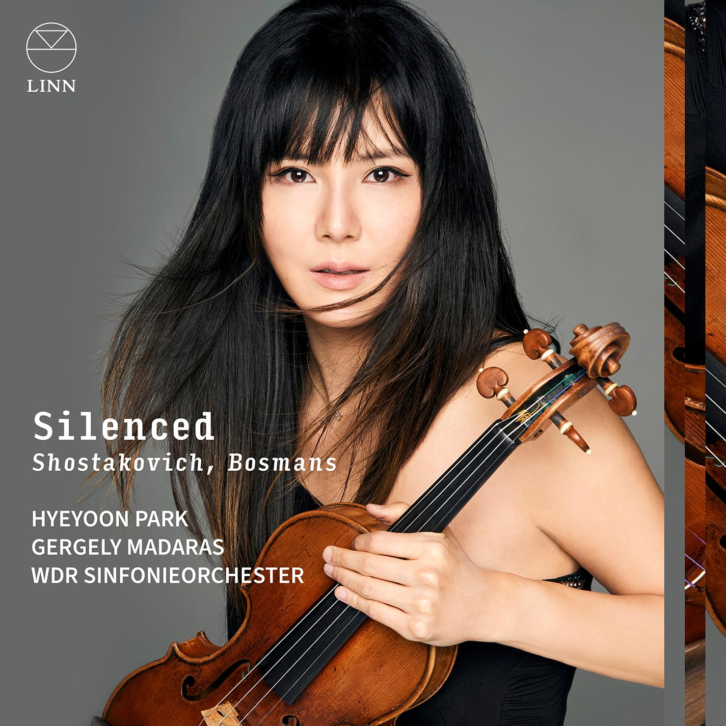 Silenced Music