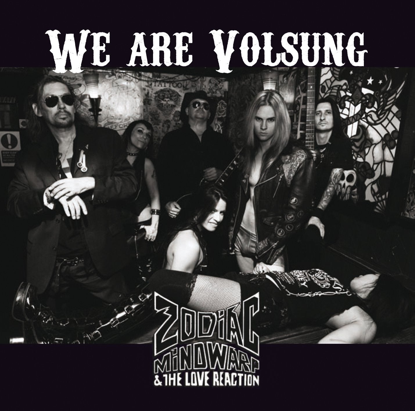 We are Volsung cd