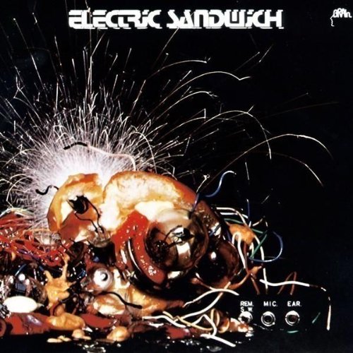 Product Image: Electric Sandwich