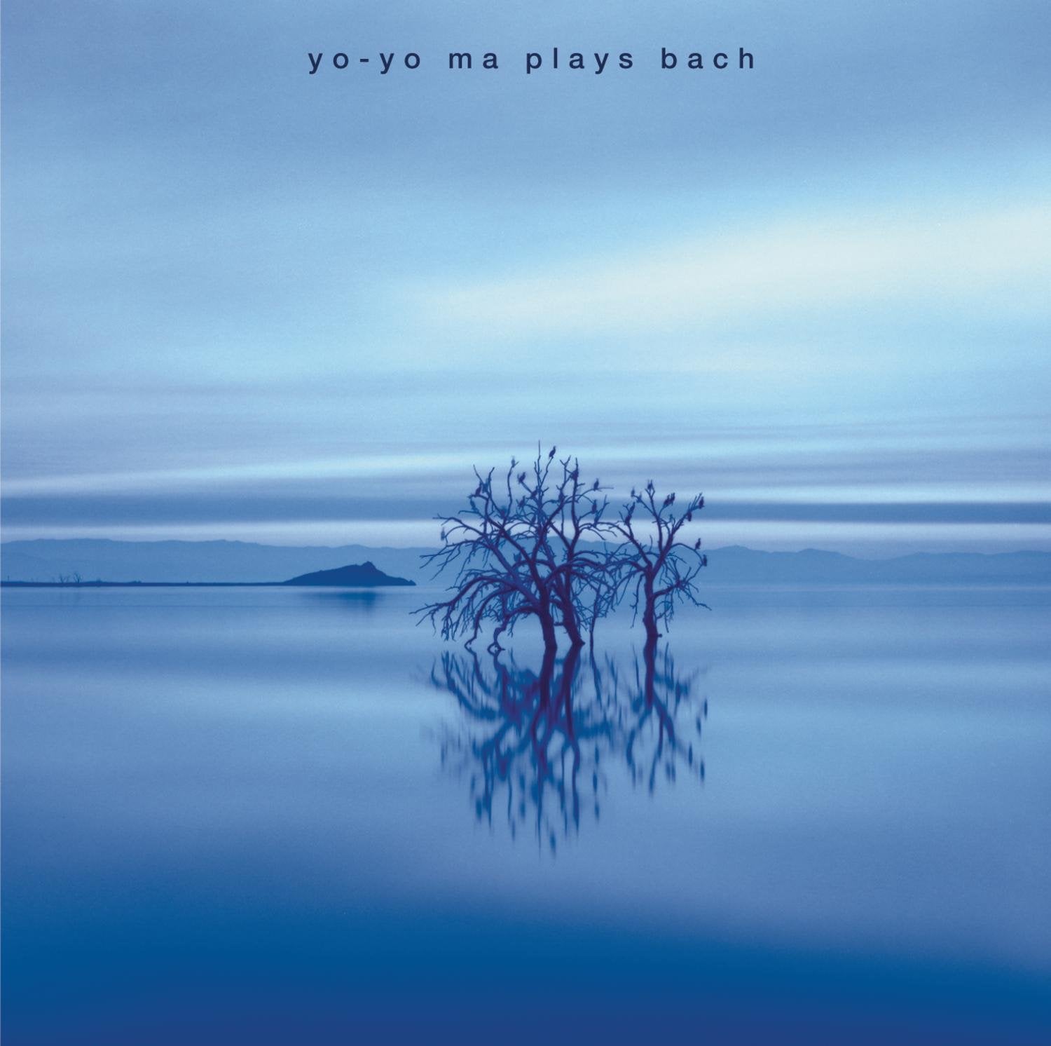 Sonatas: Music for You Classical