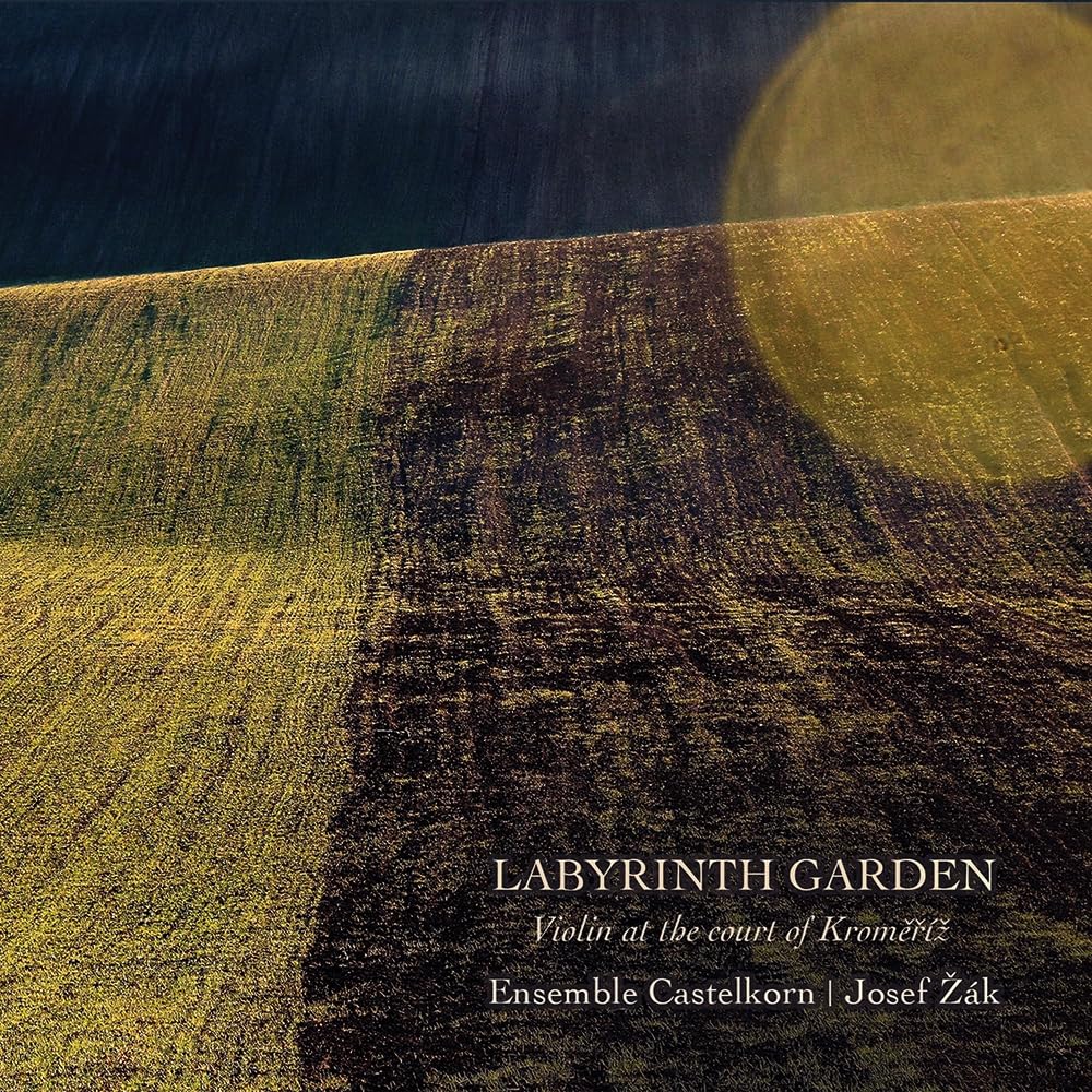Labyrinth Garden/Ensemble Castelkorn cd