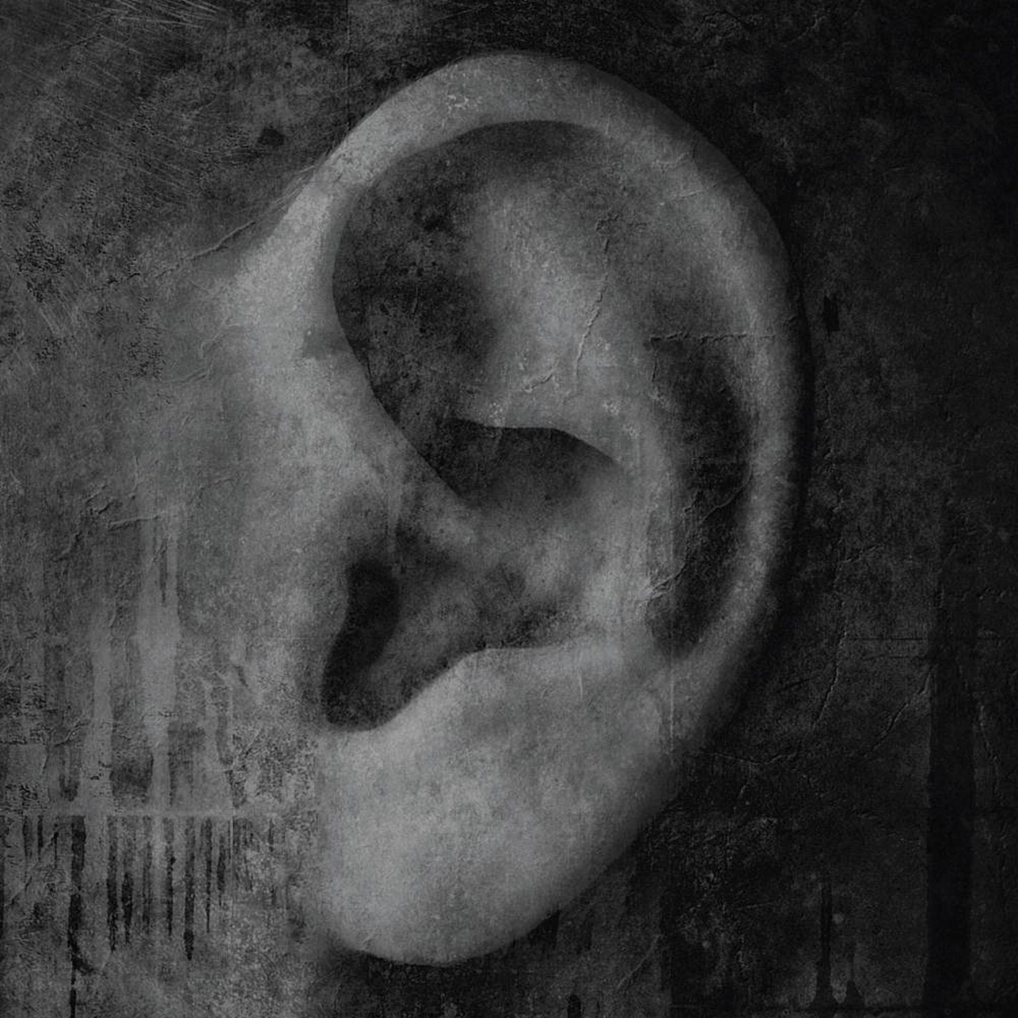 Product Image: Monophonic
