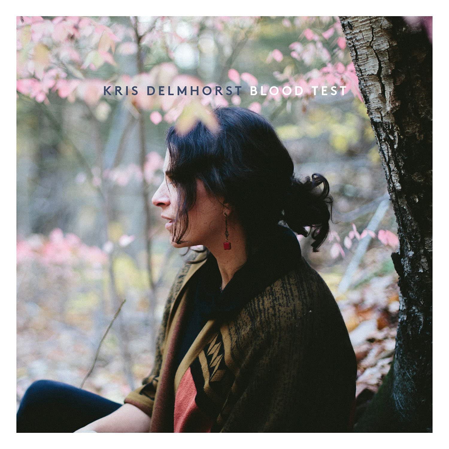 Kris Delmhorst - Blood Test Music