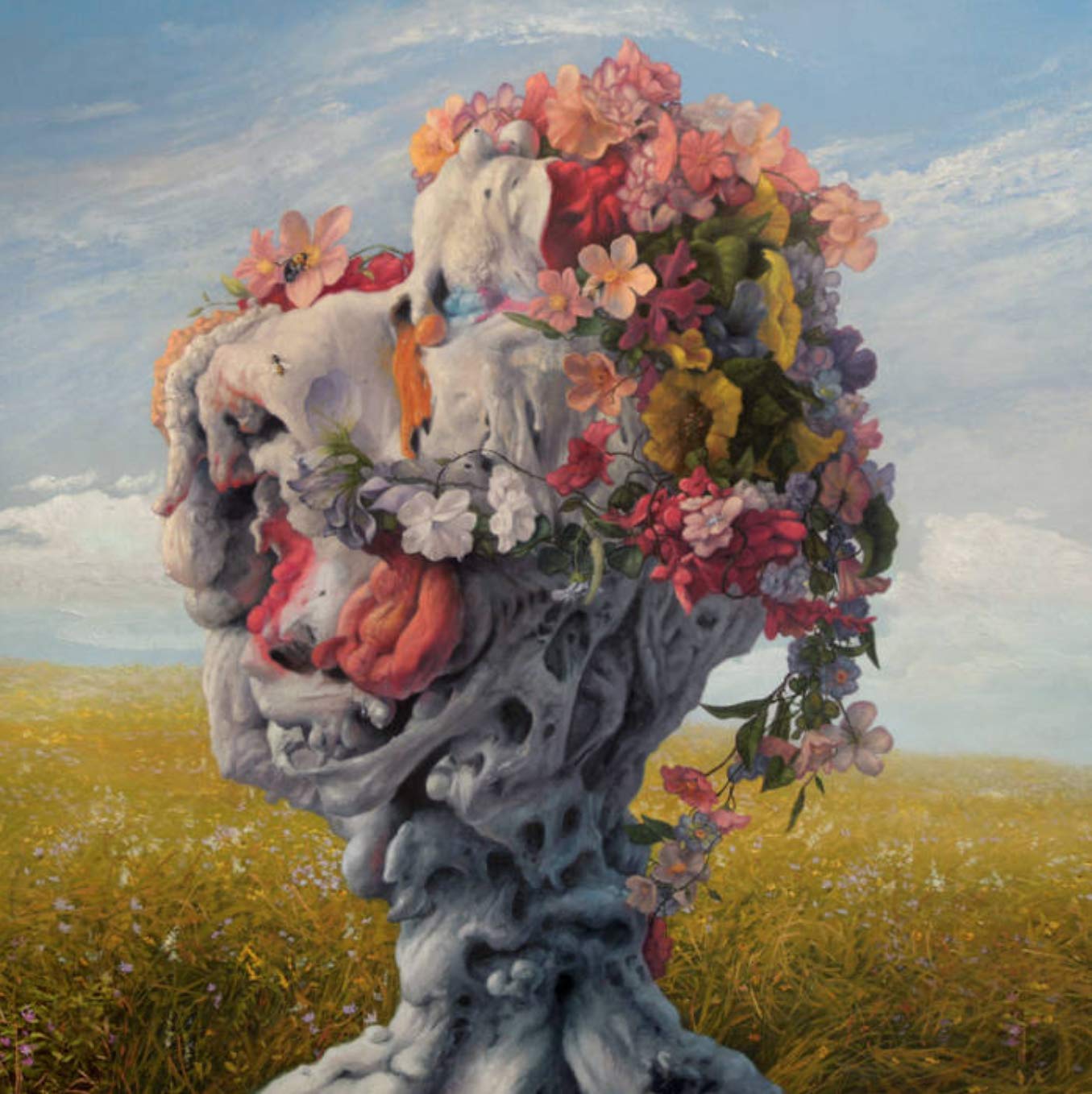 Product Image: Veil Of Imagination