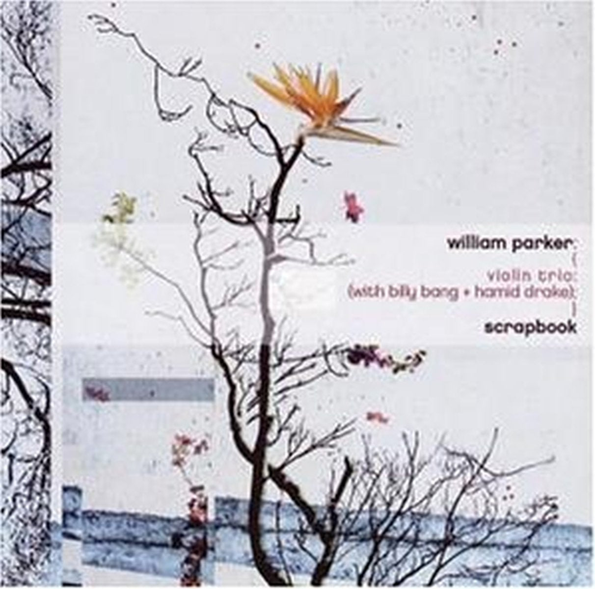Scrapbook violin trio (with billy bang + hamid drake) Jazz