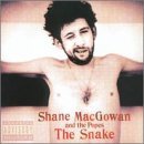 The Snake-New Version Pop