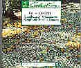 Sinf. 8, 9 Classical