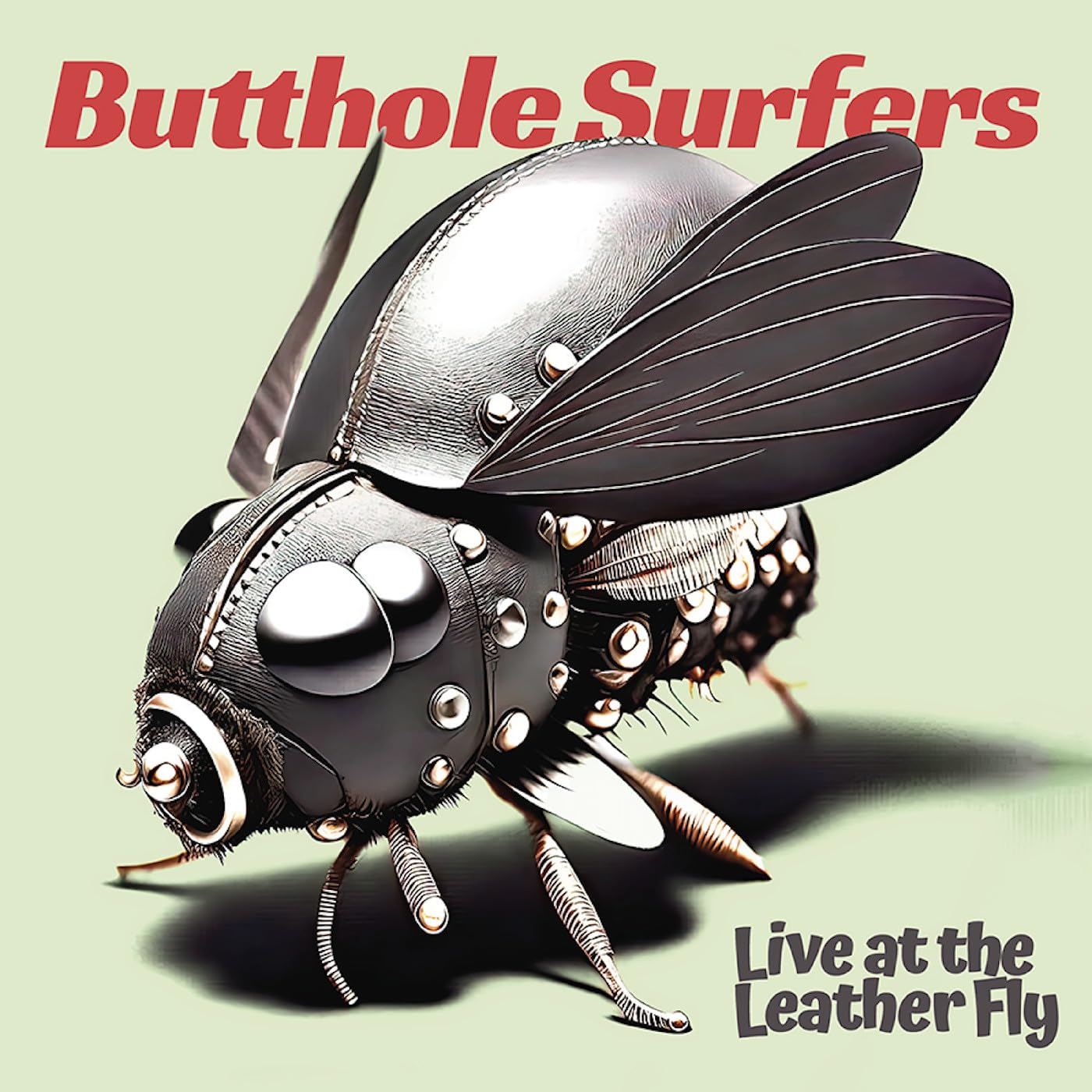 Product Image: Live at the Leather Fly