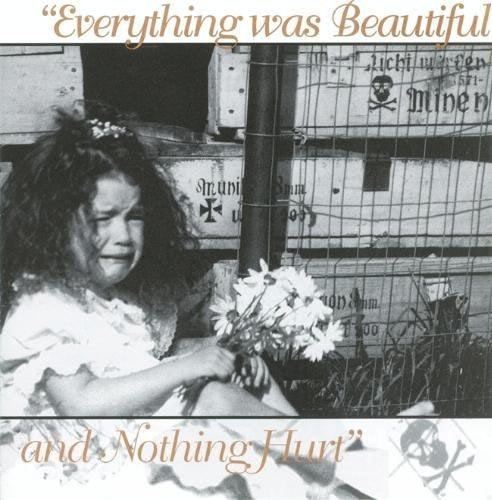 Everything Was Beautiful Pop