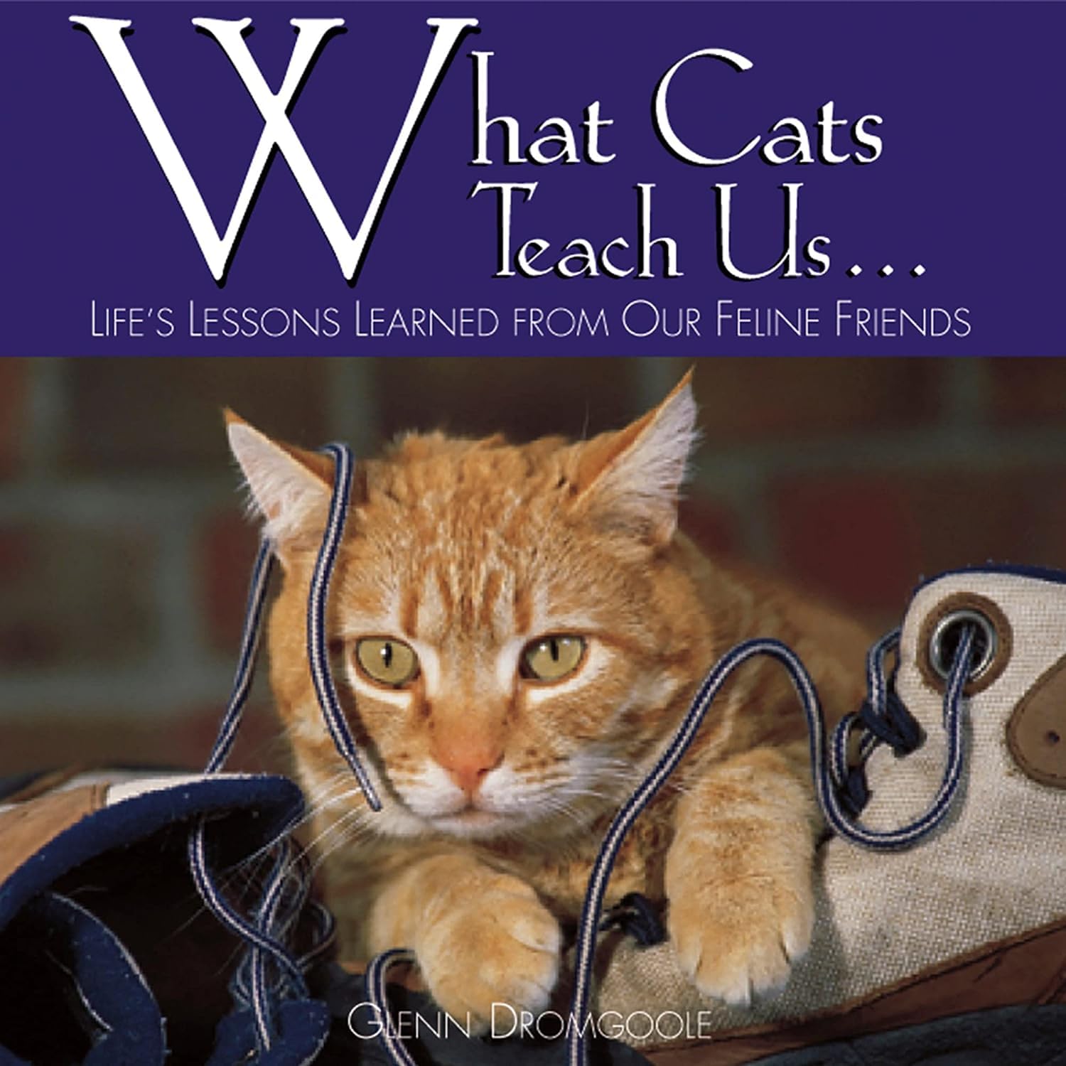 What Cats Teach Us: Life's Lessons Learned from Our Feline Friends Pets